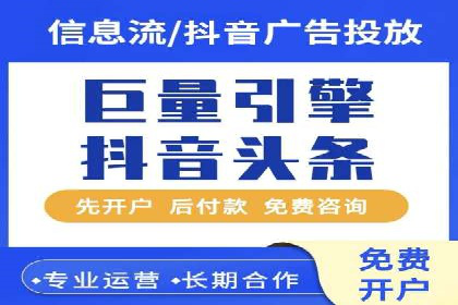 解析某某SEM服务公司的广告投放策略与效果评估